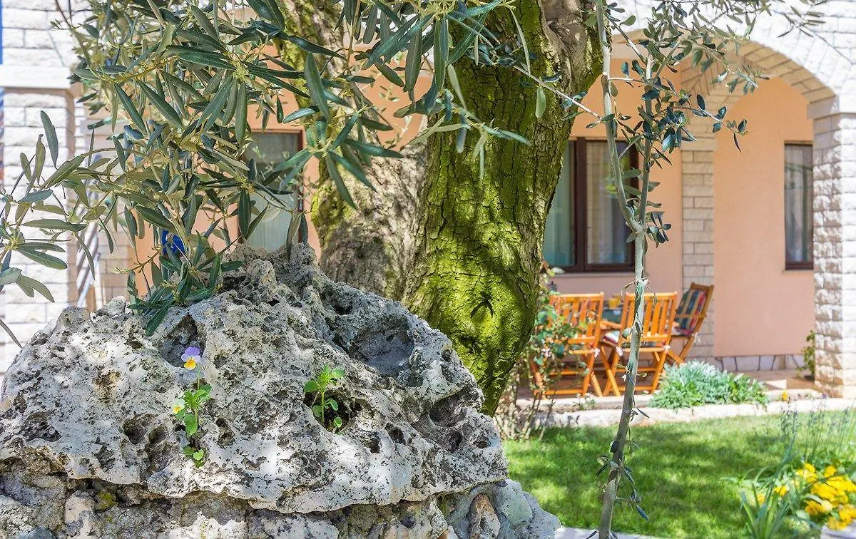 Apartment Ljuba بولا